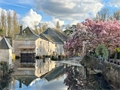 Moulin à la vente